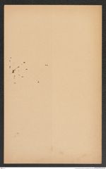 k.k. naturhistorisches Hofmuseum, Intendanzakten 1885-1896 (Hauer), Aktenzahl Z.274.b/1891, Seite 4
